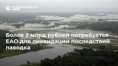 Более 2 млрд рублей потребуется ЕАО для ликвидации последствий паводка
