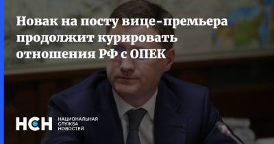 Новак на посту вице-премьера продолжит курировать отношения РФ с ОПЕК