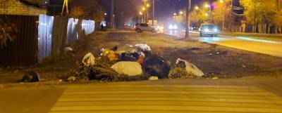 Куча мусора в Воронеже «завела» собственный аккаунт в Instagram