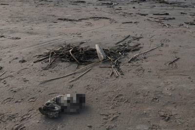 «Неизвестное существо» на берегу Финского залива оказалось трупом младенца