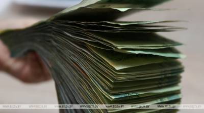Иностранца подозревают в изготовлении и сбыте фальшивых белорусских денег