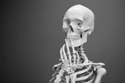 Ученые обнаружили скелет жертвы древней диеты