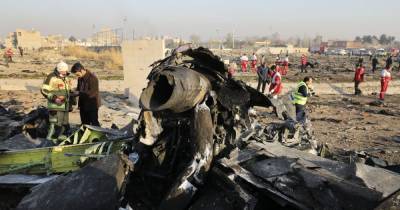 Авиакатастрофа самолета МАУ под Тегераном: виновникам грозит до трех лет заключения