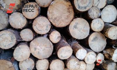 На Алтае сотрудник предприятия вырубил лес на 6,4 миллиона