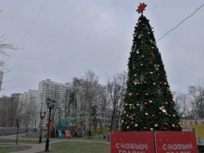 Собянин: Гулять по улицам в новогоднюю ночь в Москве «никто не запрещает»