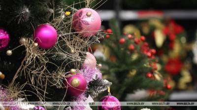 Новогодние деревья начнут продавать на Комаровском рынке с середины декабря