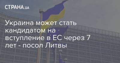 Украина может стать кандидатом на вступление в ЕС через 7 лет - посол Литвы