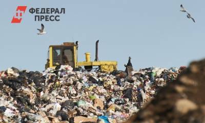 Экологи требуют закрыть единственную свалку Екатеринбурга