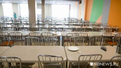 В школе Кронштадта отравились более 100 учеников