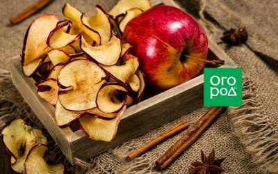Сушеные яблоки: заготовка, хранение, польза