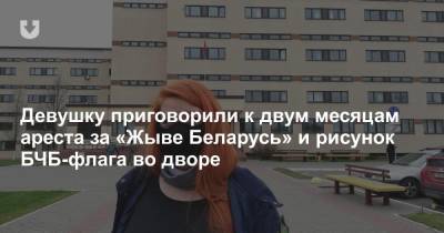Девушку приговорили к двум месяцам ареста за «Жыве Беларусь» и рисунок БЧБ-флага во дворе