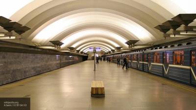 Пассажир петербургского метро упал с платформы на станции "Ладожская"