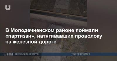 В Молодечненском районе поймали «партизан», натягивавших проволоку на железной дороге
