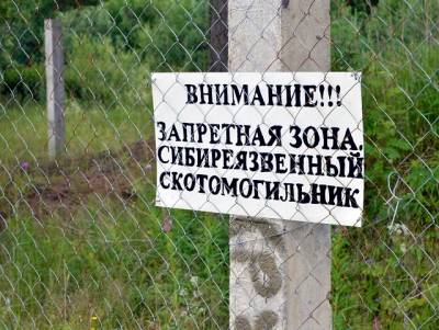 В Челябинской области лишь четыре из 17 скотомогильников с сибирской язвой соответствуют правилам