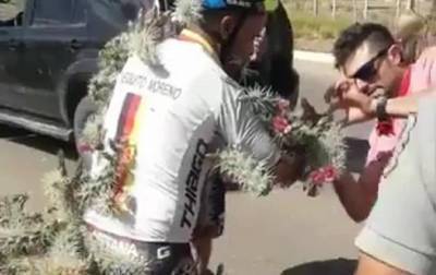 В Аргентине велосипедист поранился иглами кактуса
