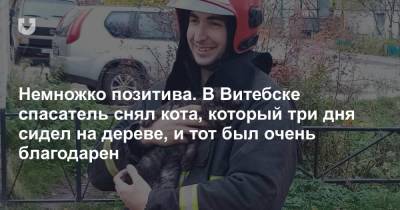 Немножко позитива. В Витебске спасатель снял кота, который три дня сидел на дереве, и тот был очень благодарен