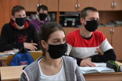 Занятия в школах Алтайского края начнутся 16 ноября