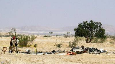 Семь миротворцев погибли при крушении вертолета над Синаем
