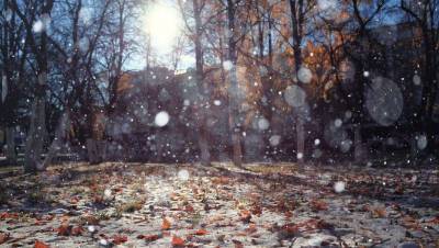 Прогноз погоды на 13 ноября: сильные дожди и снег пройдут на востоке и юго-востоке Казахстана