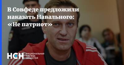 В Совфеде предложили наказать Навального: «Не патриот»