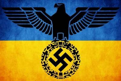 В Киеве предложили гибридную форму геноцида Крыма и Донбасса