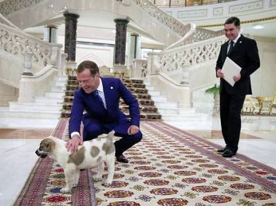 В нищей Туркмении с помпой открыли исполинский золотой памятник любимой собаке Бердымухамедова (фото)