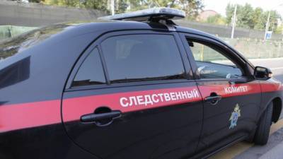 Гражданка Украины продала в Москве новорожденного сына
