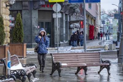 Синоптик Леус сообщил, когда в Москве выпадет снег
