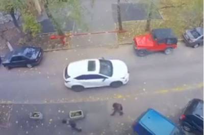 В Харькове женщина стала "звездой", отметившись парковкой авто. ВИДЕО