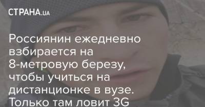 Россиянин ежедневно взбирается на 8-метровую березу, чтобы учиться на дистанционке в вузе. Только там ловит 3G