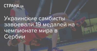 Украинские самбисты завоевали 19 медалей на чемпионате мира в Сербии