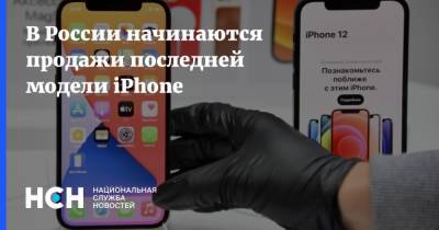 В России начинаются продажи последней модели iPhone