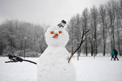 Синоптик рассказал о погоде грядущей зимой в России
