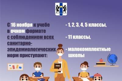 В Новосибирской области 40% школьников переведут на дистанционное обучение