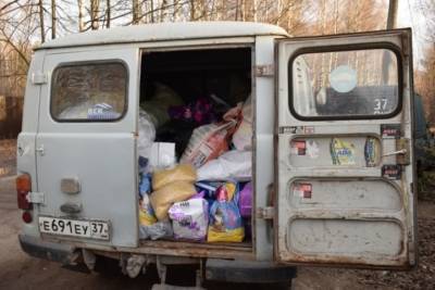 В Иванове оказали помощь приюту бездомных животных