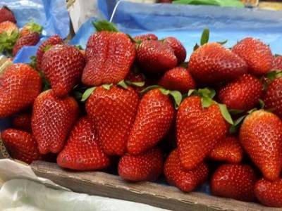 В Башкирии планируют запустить производство ягод, соков и пюре для детского питания за 100 млн рублей