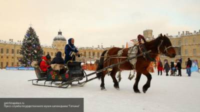 Вильфанд дал прогноз на грядущую зиму в России