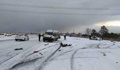 В аварии с маршруткой под Красноярском погибли два человека