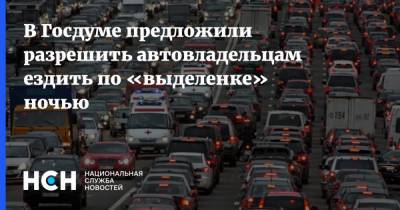 В Госдуме предложили разрешить автовладельцам ездить по «выделенке» ночью