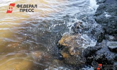 В Новоуральске прокуратура начала проверку из-за разлива нефти в реке