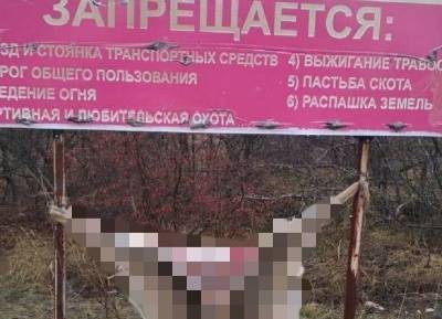 На Ставрополье браконьеры развесили шкуры убитых животных на баннеры о запрете охоты
