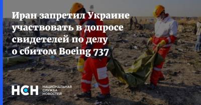 Иран запретил Украине участвовать в допросе свидетелей по делу о сбитом Boeing 737