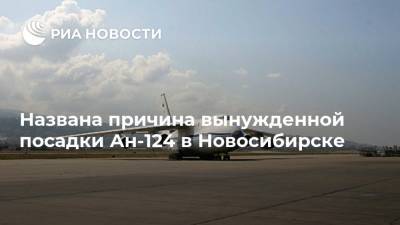 Названа причина вынужденной посадки Ан-124 в Новосибирске