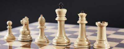 Жителей Красногорска приглашают на мастер-класс по обучению игре в шахматы онлайн