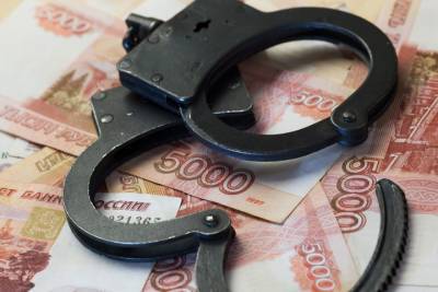 Архангельский предприниматель отмыл деньги на гранте в Тверской области