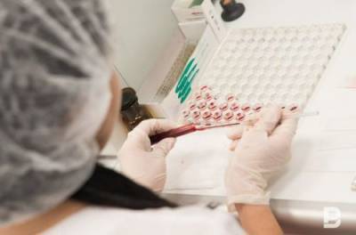 Хантавирус уже в Европе: врачи зарегистрировали первый случай заражения человека