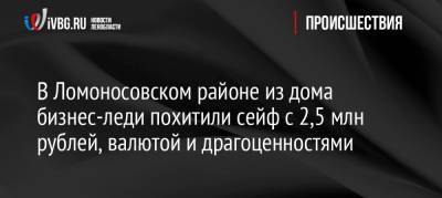 В Ломоносовском районе из дома бизнес-леди похитили сейф с 2,5 млн рублей, валютой и драгоценностями