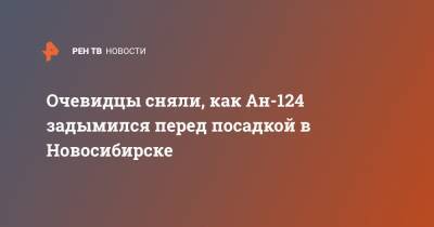 Очевидцы сняли, как Ан-124 задымился перед посадкой в Новосибирске
