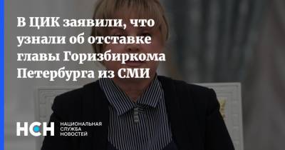В ЦИК заявили, что узнали об отставке главы Горизбиркома Петербурга из СМИ