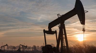 EIA: баррель нефти марки Brent в 2021 году будет стоить 45,5 доллара